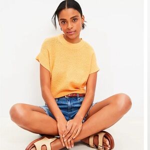 LOFT Wedge Sweater Tee